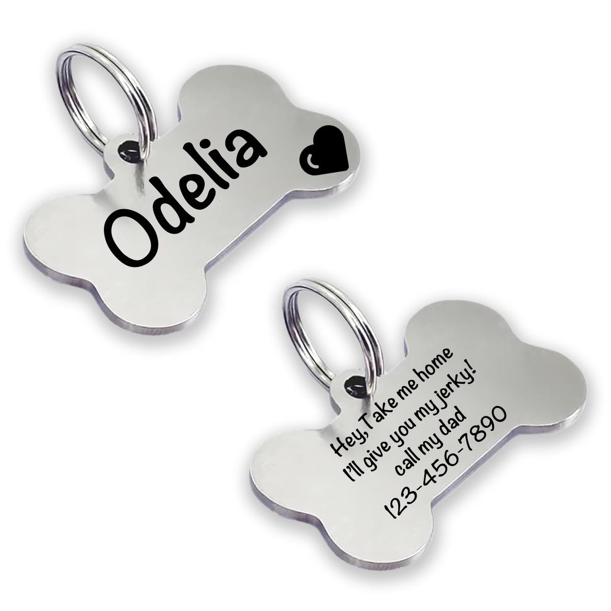 Custom Pet ID Tag